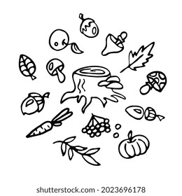 Doodle - autumn collection with vegetables and fruits, nuts and mushrooms, foliage and stump