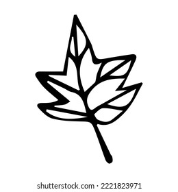 Hojas de doodle de otoño. Decoración de otoño a mano. Ilustración del vector