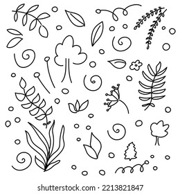 Doodle of autumn leaves and flowers. vector art