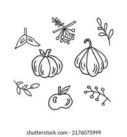 Doodle autumn set, hand drawn pumpkin, apple, rowan berry, twigs and leaves. Sketch,freehand minimalistic design, child drawing.Isolated.Vector illustration
