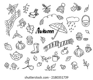 Doodle autumn set, hand drawn elements for cold weather. Berries, leaves, fruits, harvest, teapot and cups, knitted accessories. Sketch,freehand minimalistic design, child drawing.Isolated.Vector