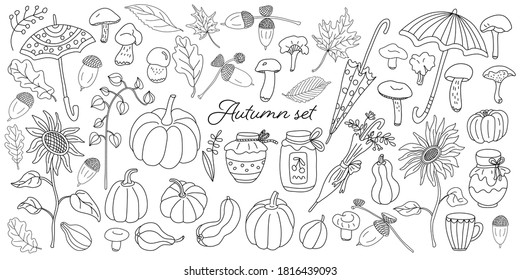 Doodle autumn set with pumpkins, mushrooms, umbrellas, leaves, sunflowers, jar of jam, honey, physalis and acorns. Vector hand drawn  sketch illustration isolated outline on white. Fall and harvest.