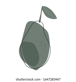 Doodle avocado auf weißem Hintergrund Vektorillustration handgezeichnet 