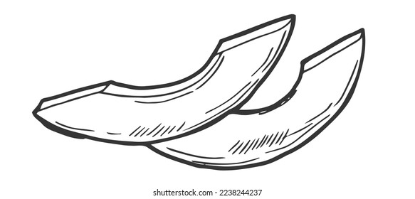 Doodle Avocado slice sketch icon isolated on white background