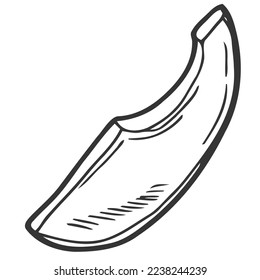 Icono de boceto de lona de aguacate aislado en fondo blanco