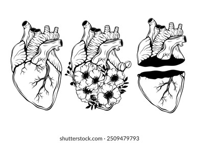 Fundo Doodle com coração humano realista, flores para cartão de saudação de Valentim, casamento. Sinal romântico, conceito de amor da natureza. Arte em linha, impressão, esboço de tatuagem