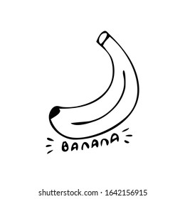 Doodle banana drawn summer for decoration design. Vector sketch.