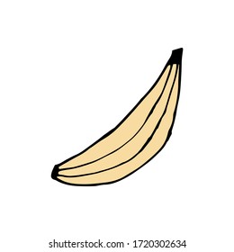Doodle  banana. hand drawn of a  banana isolated on a white background. Vector illustration sticker, icon, design element