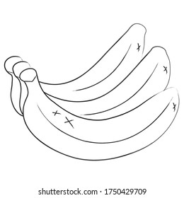 Doodle banana icon. Bunch of bananas. Vector illustration isolated on white background