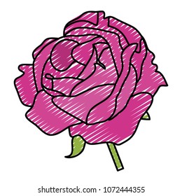doodle beautiful rose plant with nature petals