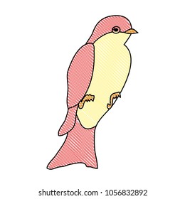 doodle beauty bird animal with feathers and wings