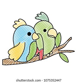 doodle beauty parrot couple animals in the branch