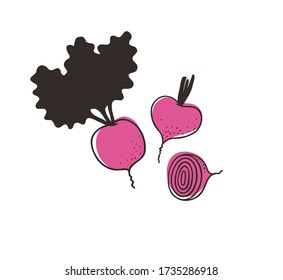 Doodle beet. Hand drawn stylish fruit and vegetable. Vector artistic drawing fresh organic food. Summer illustration vegan ingrediens for smoothies