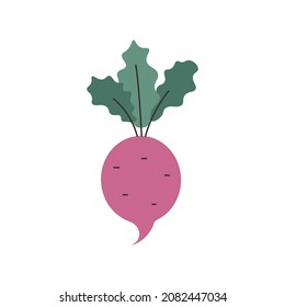 Doodle beet with leaves. Vector clipart.