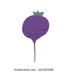 Doodle beetroot isolated on white background.  Hand drawn beet vegetable. Vegetarian healthy food. Fresh organic raw food ingredient. Cute vector illustration