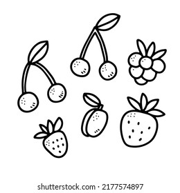 Doodle berries set. Hand-drawn strawberry, cherry, plum, raspberry, blackberry on white background. Healthy food, smoothies ingredients, diet, vitamin, organic plant. Vector gardening illustration