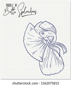 Doodle of Betta splendens, Siamese fighting fish on paper