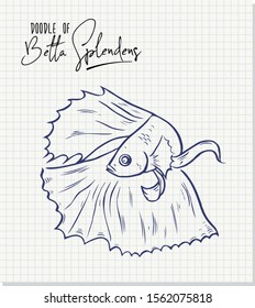 Doodle of Betta splendens, Siamese fighting fish on paper