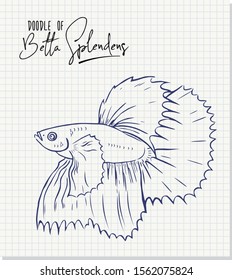 Doodle of Betta splendens, Siamese fighting fish on paper