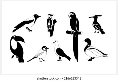 Doodle bird set clip art isolated. Hand drawn animal. Stencil drawing bird. Vector stock illustration. EPS 10