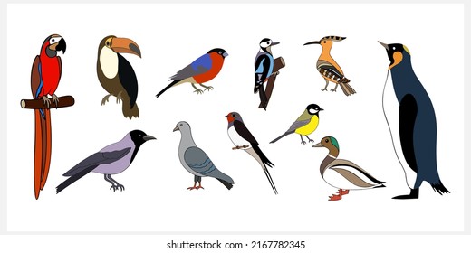 Doodle bird set clip art isolated. Hand drawn animal. Hand drawn bird. Vector stock illustration. EPS 10