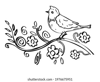 Doodle bird vector illustration black line drawing 