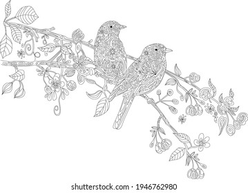 Doodle birds black line drawing vector illustration on white background