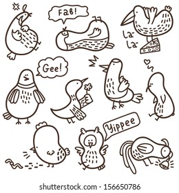 doodle birds. Vector set of doodle birds with some their habits.