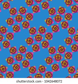 Doodle bisquit cookie or cracker background. Cookie seamless pattern