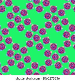 Doodle bisquit cookie or cracker background. Cookie seamless pattern