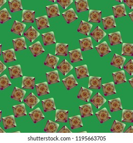 Doodle bisquit cookie or cracker background. Cookie seamless pattern
