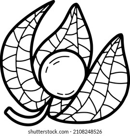 Ilustración del vector de frutas de la línea negra del doodle. Exótica y sabrosa ilustración de frutas estilo de arte.
