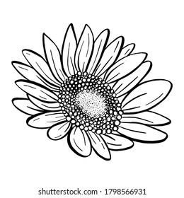 Doodle black line sunflower. A silhouette use for cricut, cut file, clipart. Digital or printable sticker. Vector illustration for decorate logo, tattoo, card or any design.