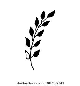 Doodle black plant branch for decoration design. Isolated image. Curved branch with leaves. Wedding floral decorations. White background. Floral wreath element. Vector illustration
