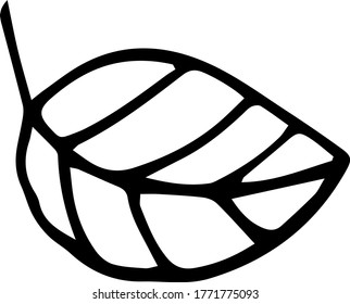 Doodle black and white hand-drawn leaf falling illustration