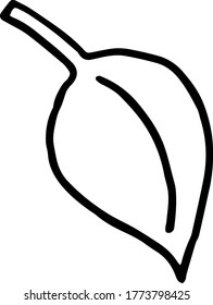 Ilustración de hojas dibujadas a mano en blanco y negro con doodle