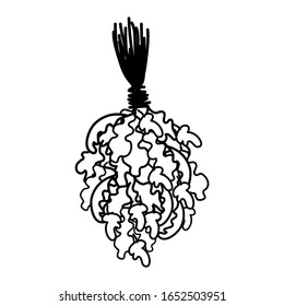 Doodle black and white oak bath broom to kick on the back. Sauna bathhouse equipment. Healthy procedures, line art. Vector stock illustration.