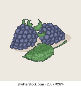 Doodle blackberries and leaf isolated on a pastel background