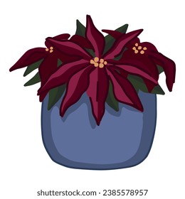 Doodle of blooming Poinsettia in pot. Cartoon clipart of Christmas home plant. Hand drawn vector illustration isolated on white.