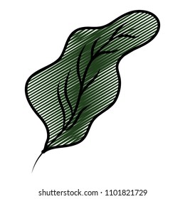 doodle botanic leaf style exotic plant