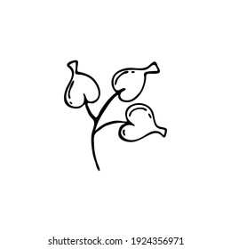 Doodle botany element. Hand-drawn images of flora. Image for various designs. Flower