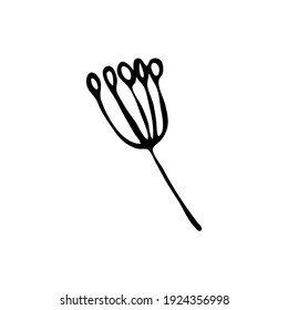 Elemento botánico Doodle. Imágenes de la flora hechas a mano. Imagen para varios diseños.
