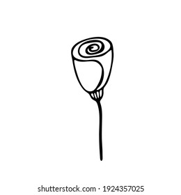 Doodle botany element. Hand-drawn images of flora. Image for various designs. Rose flower
