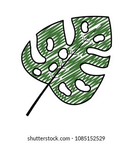 doodle botany leaf exotic natural style