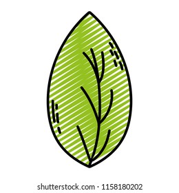 doodle botany nice leaf exotic style