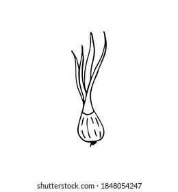 Doodle bow. Hand-drawn images. Vector for posters, web, textiles, children's coloring pages.