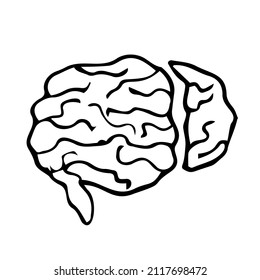 doodle brain icon with hand drawn style vector isolated background