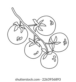 Rama de garrapatas de tomates cerezos. Se puede usar para menú, envasado, textil, mercado de agricultores. Ilustración vectorial aislada en fondo blanco.