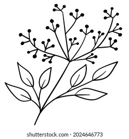 Doodle branch, cute and unusual leaves, can be used to decorate postcards, business cards or as a design element