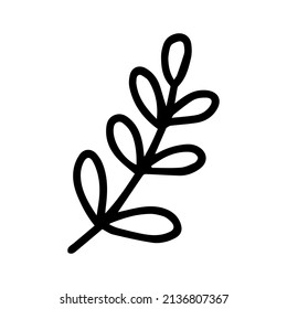 Doodle Zweig der Blume. Vektorzweig mit Blättergrafik. Handgezeichnete Doodle-Kraut einzeln